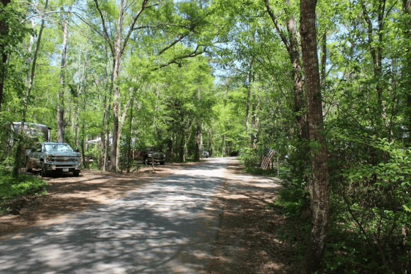 Myrtle beach state park campgrounds