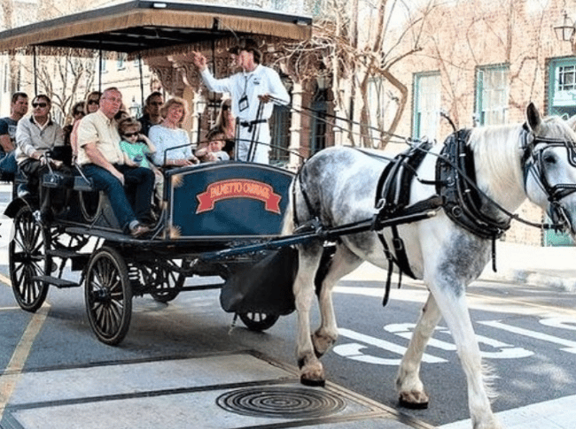 Explore The City In A Horse-Drawn Carriage Ride