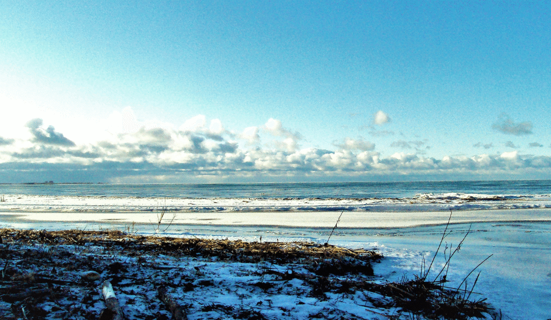 Myrtle Beach Vacation Rentals for Snowbirds: Why Fall Is the Perfect Time to Settle In