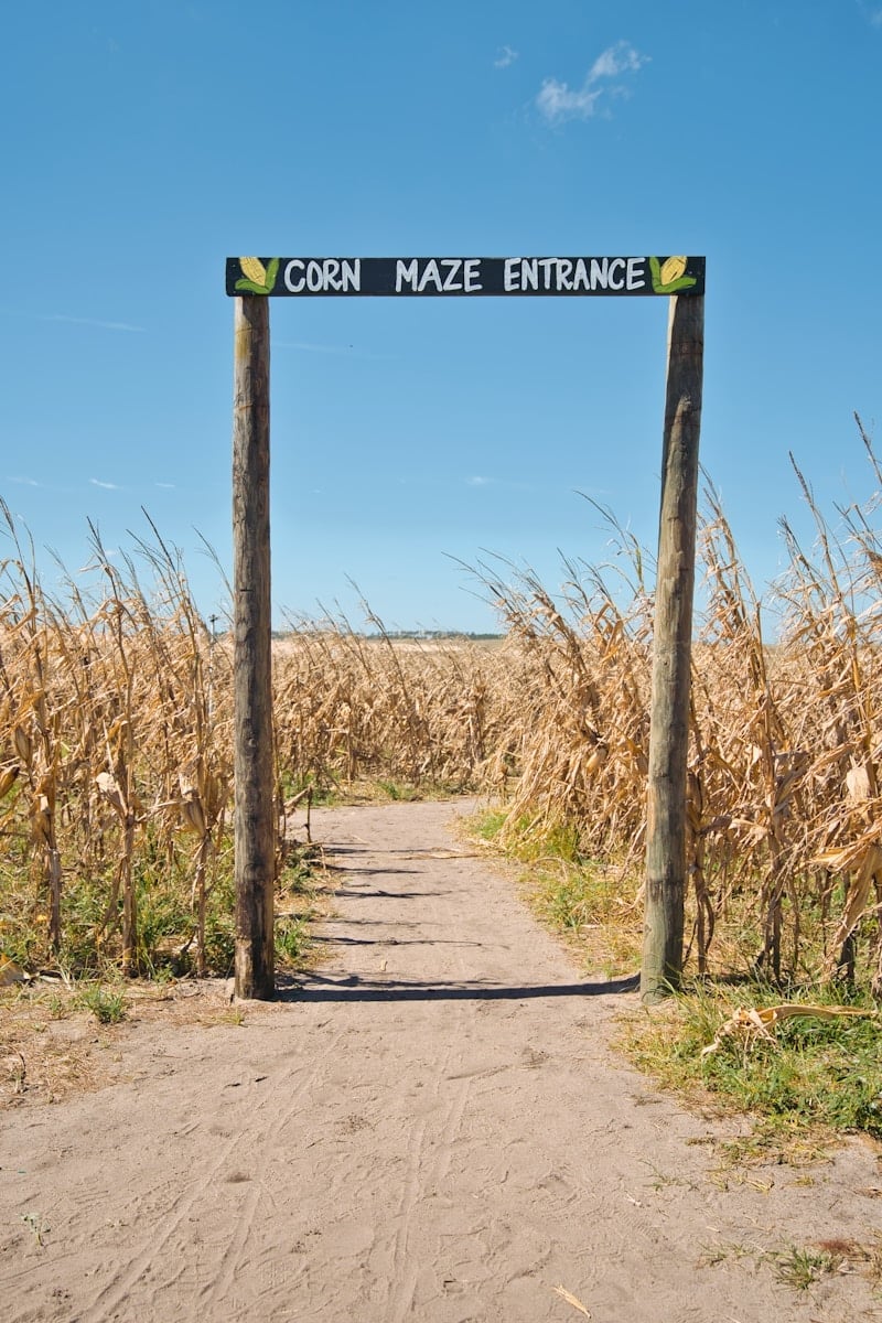 fall festivals