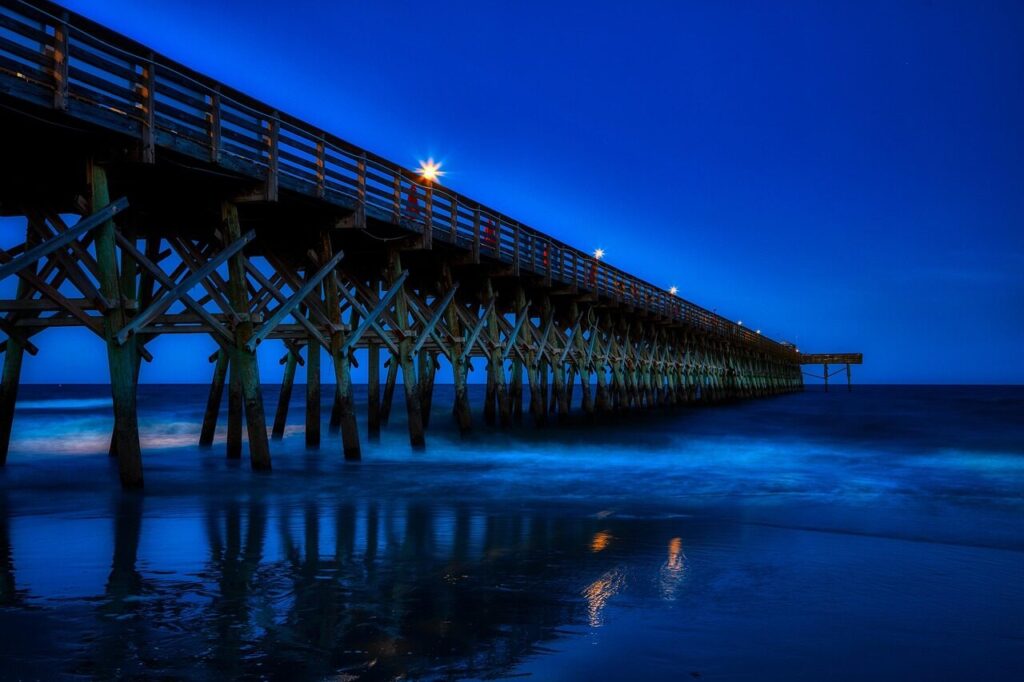 myrtle beach, south carolina, america, pier, sunset, dusk, atlantic ocean, nature, sea, seashore, tourism, reflections, beach, evening, hdr