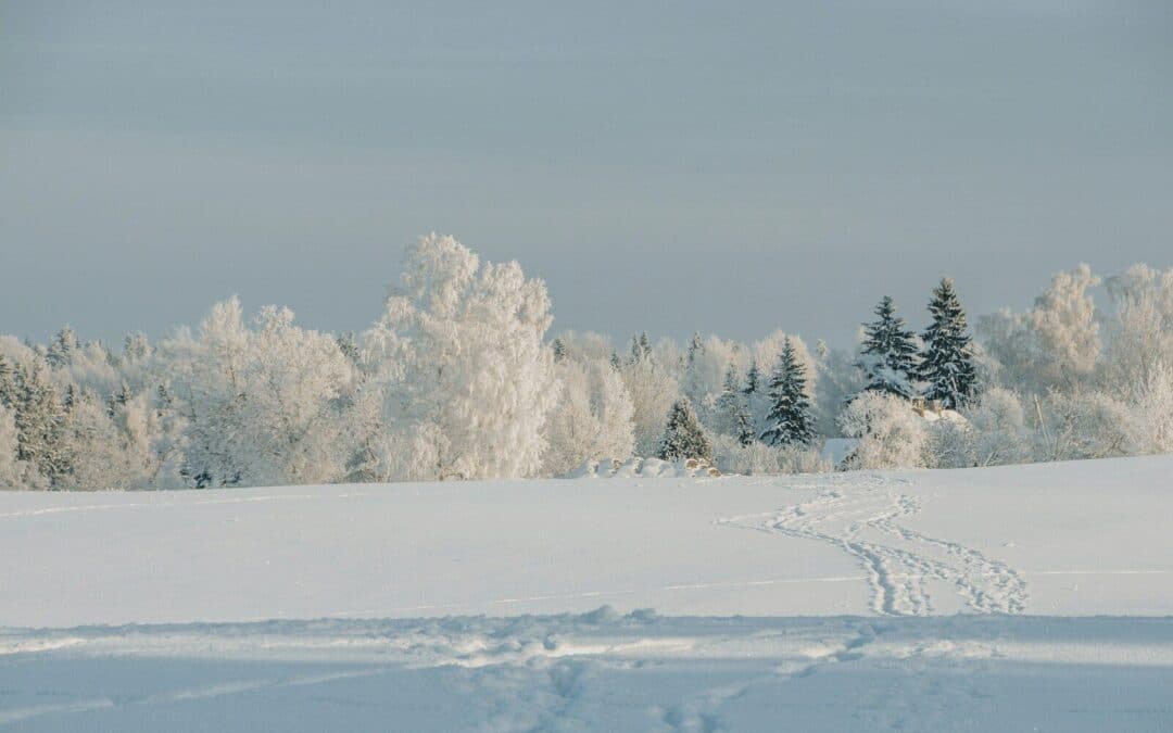 Professional RV Winterization Services Now Available in Myrtle Beach