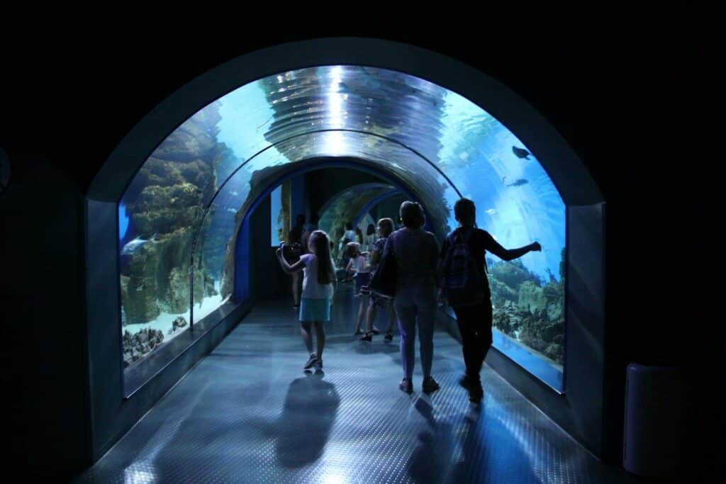 a group of people walking through a tunnel