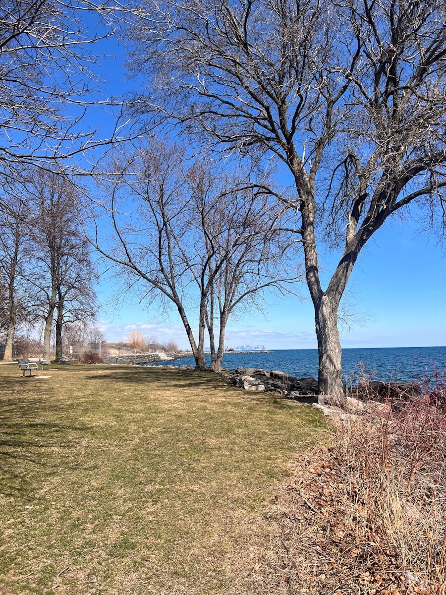 Photo by Rs Lens Peaceful spring afternoon along Toronto's Lake Ontario shoreline with bare trees and clear blue sky.