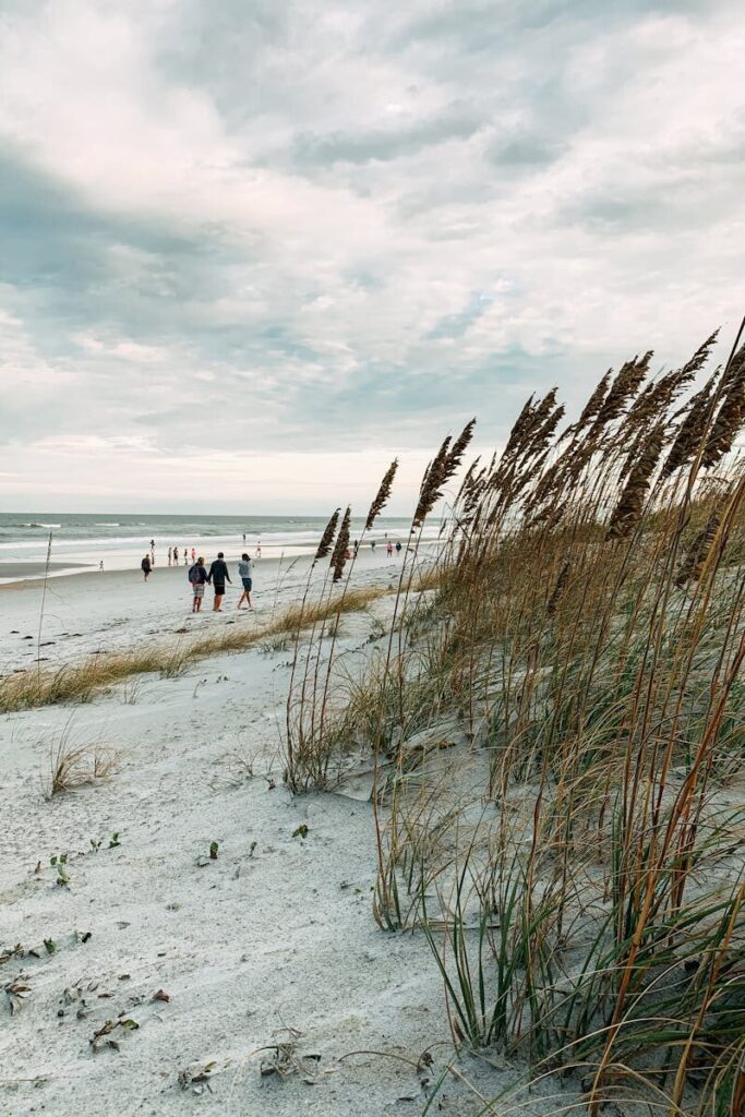 Check Out Souvenir Stores In Myrtle Beach During Your Next Vacation 11 A tranquil scene of Jacksonville Beach with sand dunes and beachgoers under a cloudy sky.