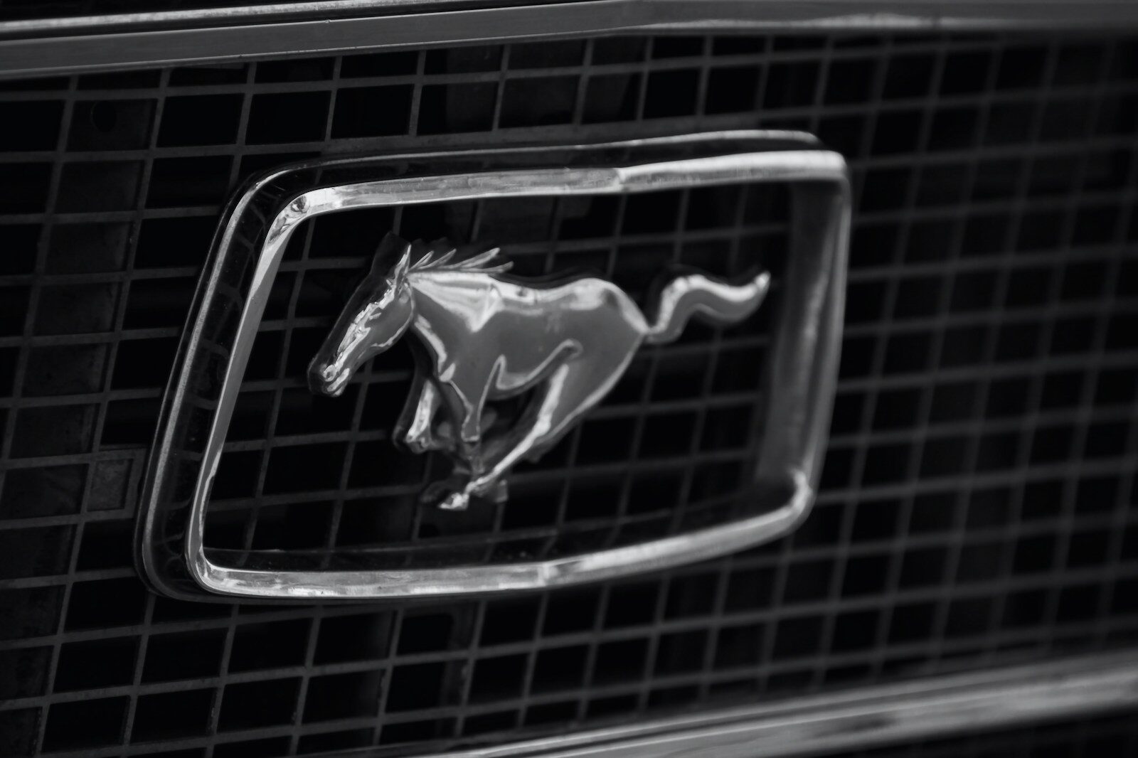 a horse emblem on the front of a car