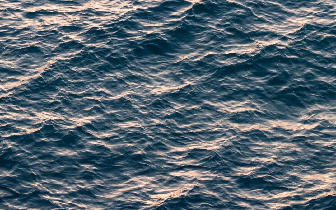 Plan the Perfect Beach Day by Checking the Myrtle Beach Tide Chart