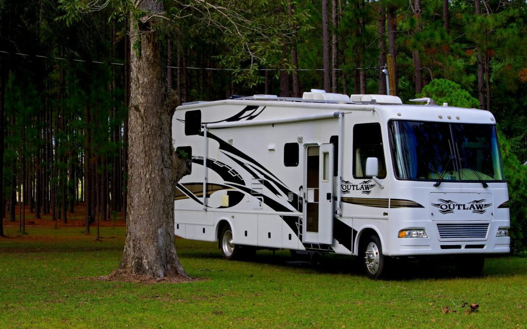 Carolina Pines RV Resort: What’s New and Why 2026 Is a Great Year to Visit